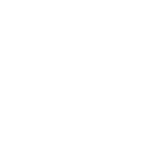 Facto Schule